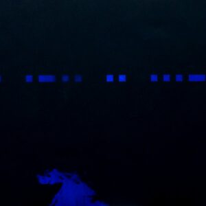 534 Morse message - ALIVE<br>CHF 18000.-